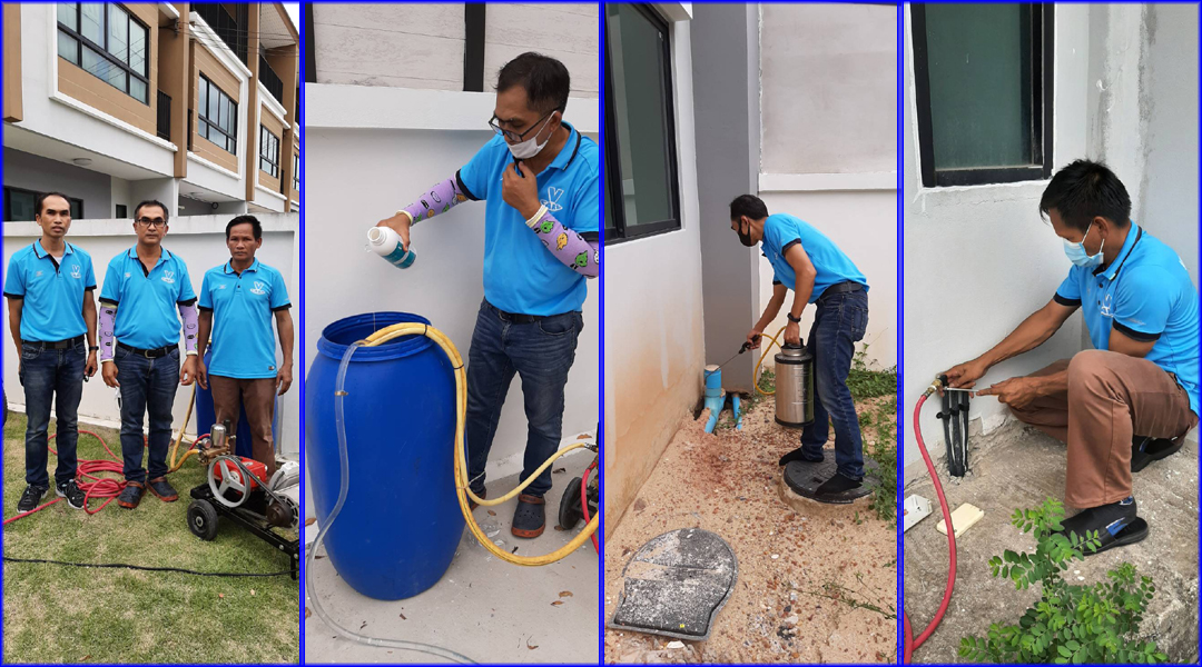 VCARE-PEST กำจัดปลวก มด แมลง 081-7549660 กรุงเทพ รังสิต ลำลูกกา ธัญบุรี ปทุมธานี ปริมณฑล และทั่วราชอาณาจักร