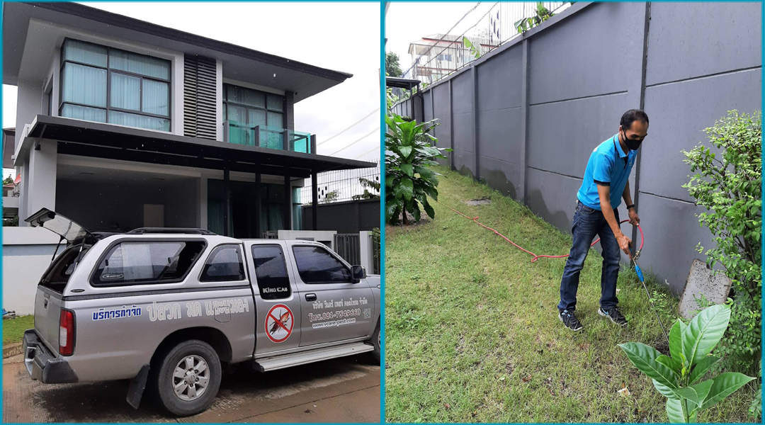 VCARE-PEST กำจัดปลวก มด แมลง 081-7549660 กรุงเทพ รังสิต ลำลูกกา ธัญบุรี ปทุมธานี ปริมณฑล และทั่วราชอาณาจักร