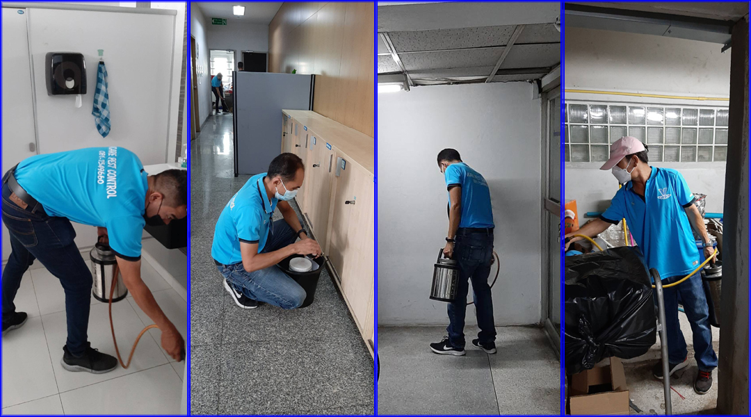 VCARE-PEST กำจัดปลวก มด แมลง 081-7549660 กรุงเทพ รังสิต ลำลูกกา ธัญบุรี ปทุมธานี ปริมณฑล และทั่วราชอาณาจักร