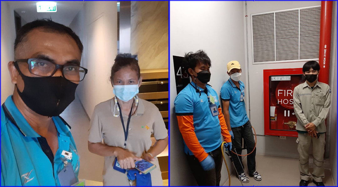 VCARE-PEST กำจัดปลวก มด แมลง 081-7549660 กรุงเทพ รังสิต ลำลูกกา ธัญบุรี ปทุมธานี ปริมณฑล และทั่วราชอาณาจักร